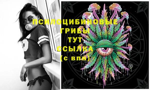 скорость Липки